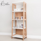 Library & Book Shelves