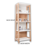 Library & Book Shelves