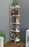Library & Book Shelves
